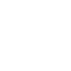 Visual Vernacular